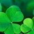 Happy Irish Music Saint Patrick S Day Celtic Cheerful