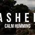 Nasheed Calm Humming