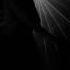 W O L F Giorgio Brindesi Esqivel Divina Obscenidad Original Mix