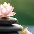 Relaxing Music For Healing Study Piano Music Piano For Stress Relief Music For Work Meditation
