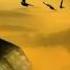 Gipsy Kings Amor Mio No Volvere