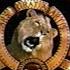 Metro Goldwyn Mayer 1995 1988