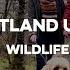 Keep Scotland Unspoiled Wildlife