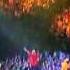 Eminem D12 Purple Pills DVD Live Detroit