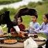 Camping Gone Wild Food Heist In The Wilderness Nonsensical Funny Absurd Bizarre Hilarious