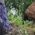The Challenging Journey Of Building A New Life Of A Poor Single Mother Sung Luyen