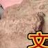 伯娘拿岀小沉香木观音 老刘一看心里暗喜 一万卖下 又多给四百 老刘农民博物馆
