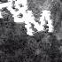 Dragonborn R M Full Album