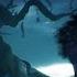Hellblade Senua S Sacrifice A Fan Made Tribute Trailer