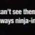 Adult Swim User Questions Ninjas Bump 2005