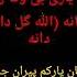 Aryana Sayeed Allah Gul Dana Dana اهنگ الله گل دانه دانه از اریانا سعید