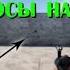Макросы на раст RUST мышки Bloody X7