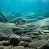 Underwater Journey With E Mantra