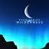 Music Is In All Of Us Here S What Music And My Album Wilderness Means To Me