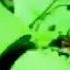 Playboi Carti Cash Shit Slowed Reverb