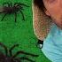 Spooky Spiders Everywhere Halloween Adventure Floor Is Lava Game Danny Go Songs For Kids