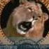 Metro Goldwyn Mayer 2001 WidescreenIn High Tone