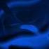 BLUE BLACK WARPED SNAIL SPEED REV FISHEYE Gummibär REQUST VIDOE Finnish Gummy Bear Song