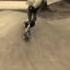Spad Skates