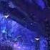 Avatar Ambience Pandora At Night Bioluminescence Forest Sounds And Occasional Rain