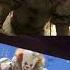 Pennywise Behind The Scenes Short