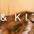 CATS KITTENS In 4K 2 Hours Relaxing Ambient Piano Music Cute Pets