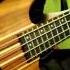 Red Fang Prehistoric Dog Bass Cover Play Along Tabs In Video