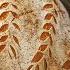 Bake The Perfect Sourdough Bread A Step By Step Guide