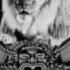Goldwyn Pictures Lion 1923