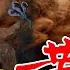 大陸禁書 政治寓言小說 黃禍 系列5 作者 王力雄 筆名 保密 第5章 六四 寓言 中共