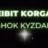 BEIBIT KORGAN SHOK KYZDAR КАРАОКЕ