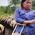Full Video Elephant Boy S Difficult Life And The Help Of Kind Policemen