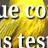 Aves En El Desierto