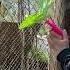 Want A POWERFUL Pest Control Pistol Watch This Now