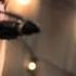 Chantal Kreviazuk Feels Like Home Anna Johnson Cover Living Room Sessions 13