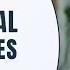 300 Essential Sentences For Meetings Improve Your Business English Vocabulary And Speaking Skills