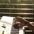 BTS 방탄소년단 Butterfly Piano Cover Tony Ann