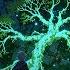 Glowing Night On The Magical Leaves Isekai Anime Relaxing Music Night Nature Ambience