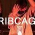 Plested Ribcage L TREE Choreography