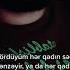 Deli Yazar Gedenlerin Xatirine P2