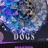 Project Sekai Vivid Bad Squad RAD DOGS Master 30