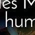 Cradles Meme App Humans Social Media Humanized