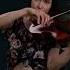 Secret Garden Dreamcatcher Maria Moon Violin Cover Maria Moon On Twitch