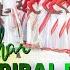 JOHAR TRIBAL RAJI Tribal Music Video Language Kurukh Singer Sk Brother KE 10