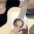 Metallica Master Of Puppets Acoustic D Addario XS Strings