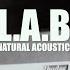 L A B Natural Acoustic Official Music Video