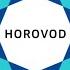 Distributed Training With Horovod MXNet Palo Alto Meetup