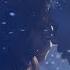 Terry Apala Keep Them Talking Official Video