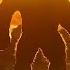Is That A Monkey Kong Attitude Entry Hollywood Whatsapp Status Bao Rami Status