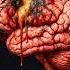 They Lied About Alcohol S Effect On Your Brain Here S The Proof Dr Sarah Wakeman